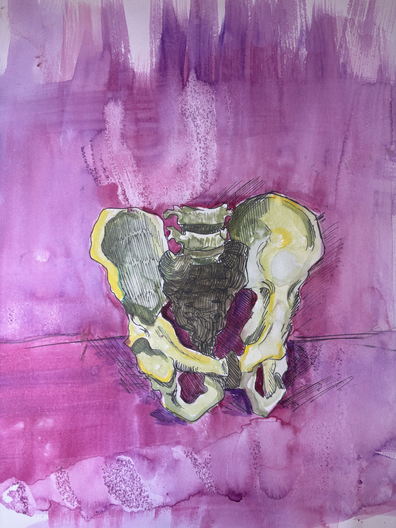 Workshop for Pelvis Oil — Watercolor & ink on paper